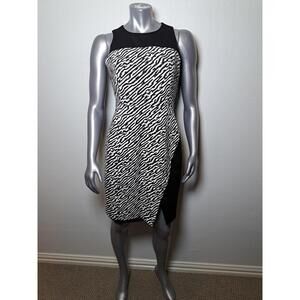 Classiques Entier Women Size 10 Zebra Print Sleevless Bodycon Midi Dress